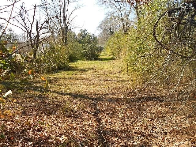 2nd image of 424 S Lake Dr