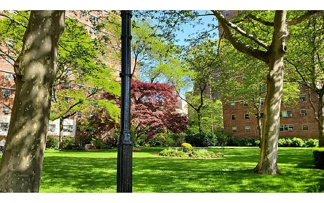 Rented by Douglas Elliman | media 7