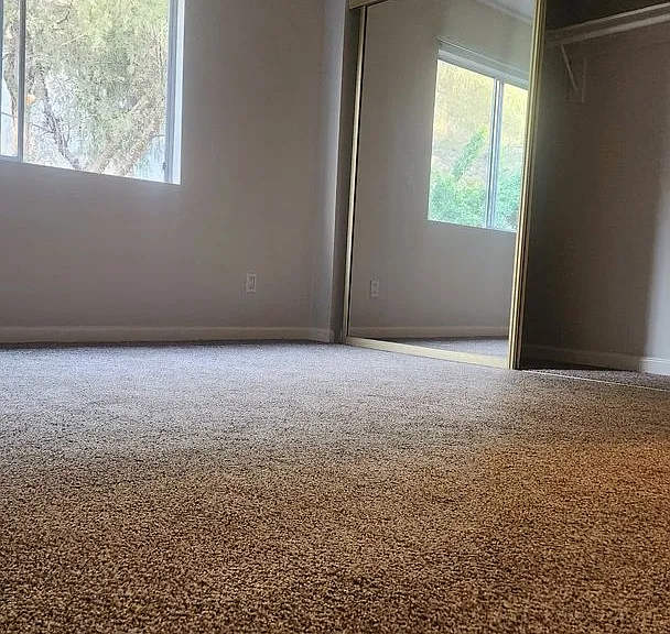 31932 Del Cielo Este — Photo 32