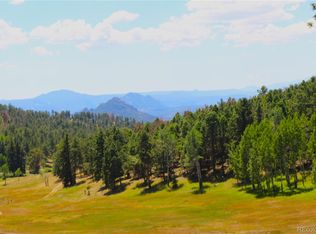 26115 Amy Cir, Conifer, CO 80433