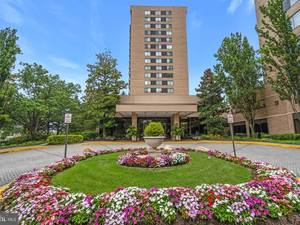 3713 George Mason Dr #T15, Falls Church, VA 22041