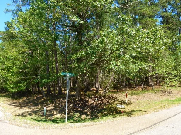 11 S Fairway Loop, Coldspring, TX 77331