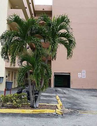3rd image of 6130 W 21st Ct APT 201
