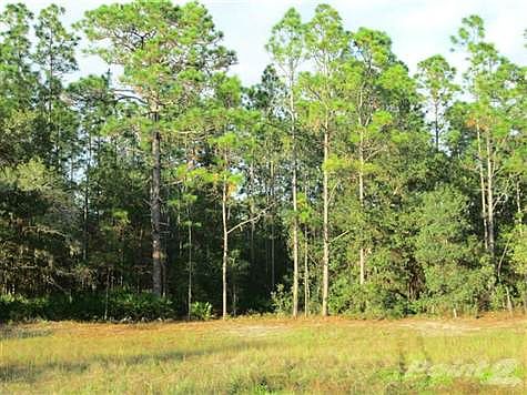 Homosassa 2 acre parcel