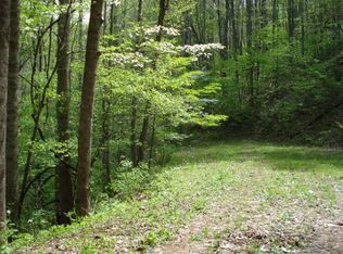 0 Watauga Vis, Franklin, NC 28734