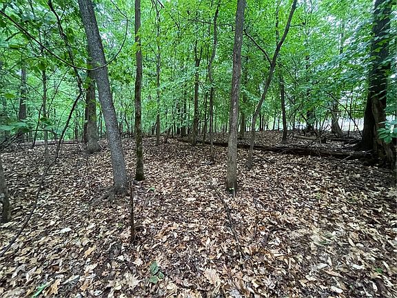 5th image of LOT 887 Nicklaus Rd