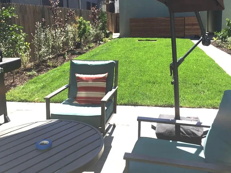 backyard