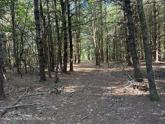 5th image of Tbd County Rte 51