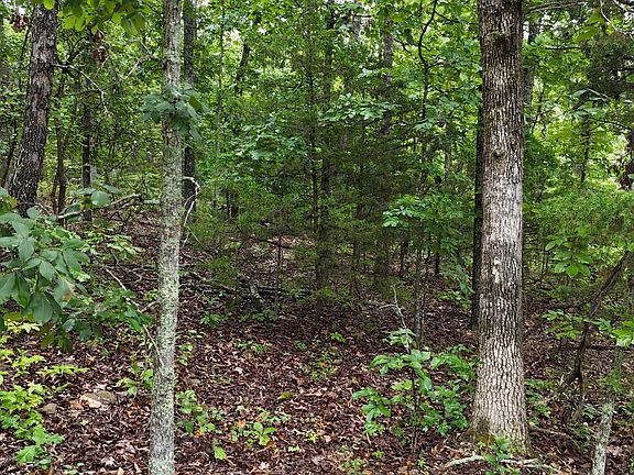 4th image of 0000 County Road Jj-416