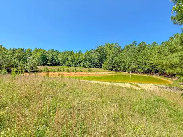 Flat Rock Rd, Blackstone, VA 23824