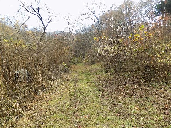 2nd image of 580 Scearce Loop