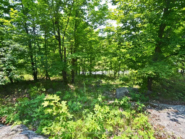 19 Turtle Ln, Carling, ON P0G 1G0