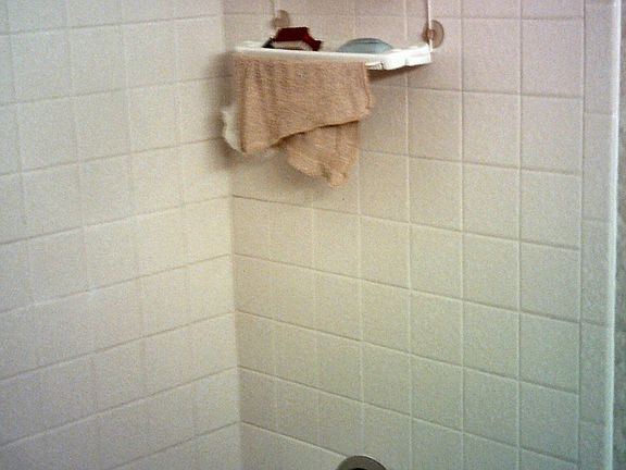 Full Bath Shower over Tub