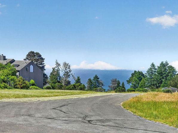 35604 Timber Ridge Road - Photo 1