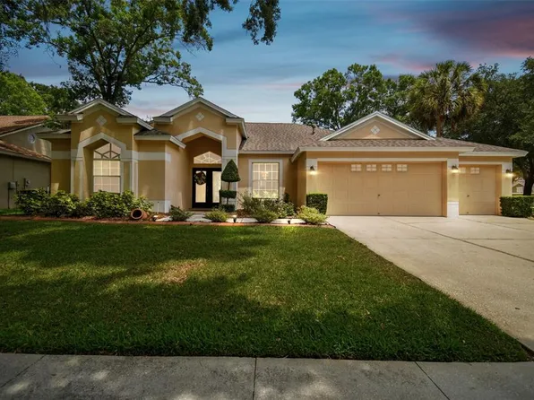 12537 River Birch Dr, Riverview, FL 33569