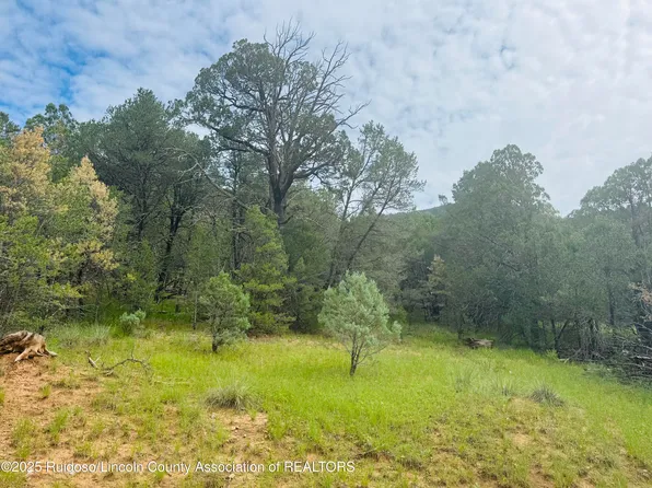 Johnnys Dr, Timberon, NM 88350