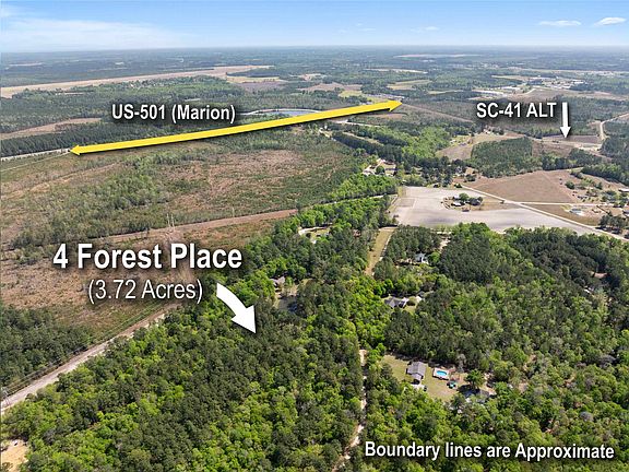 3rd image of 0 Forest Pl.