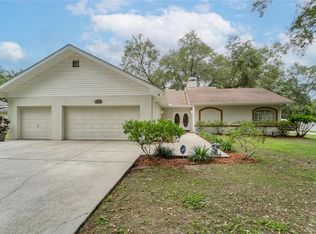919 Sylvia Ln, Tampa, FL 33613
