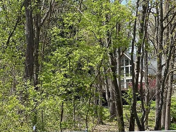 3rd image of 7145 Ridgewood Rd