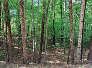 Shumont Estates, Lake Lure, NC 28746