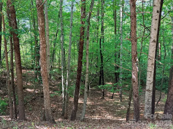 0 McDaniel Ct, Lake Lure, NC 28746