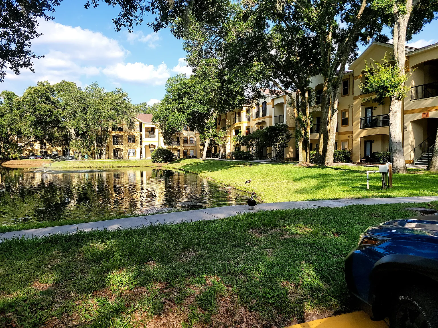 2 bed, 1200 sqft, $1,850 — Photo 3