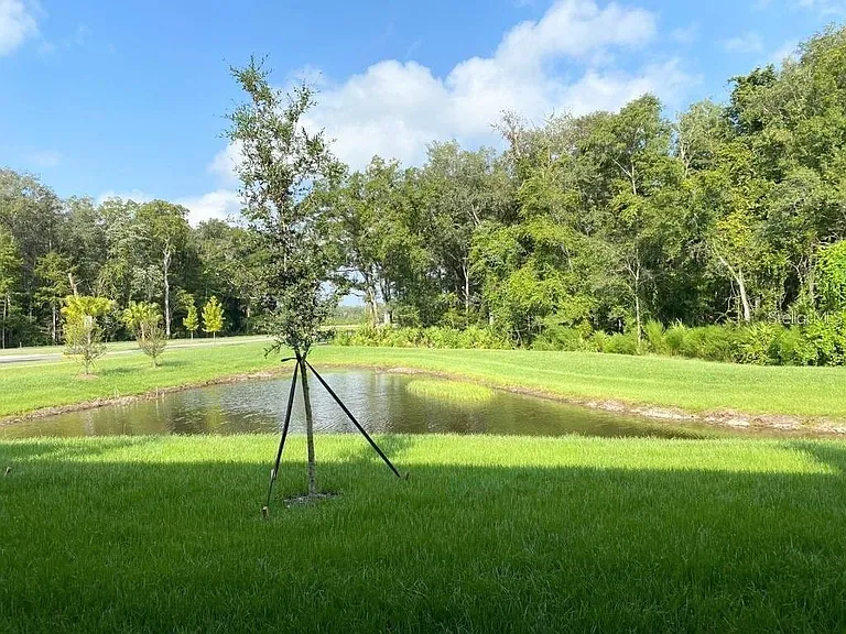 17478 Nectar Flume Dr — Photo 17