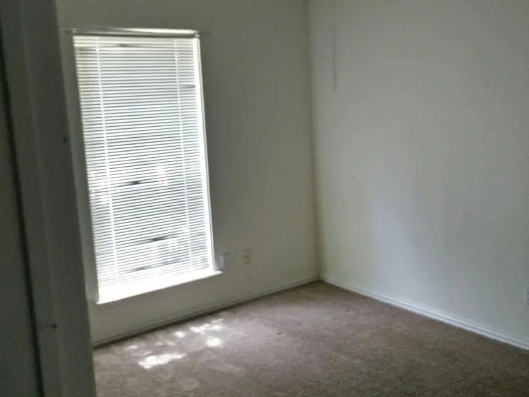 2700 Jennie Wells Dr — Photo 15