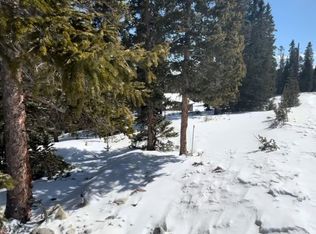 272 Grizzly Dr, Fairplay, CO 80440