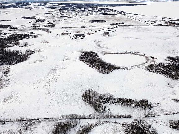5th image of On Rr 20 4 Rural Stettler #6