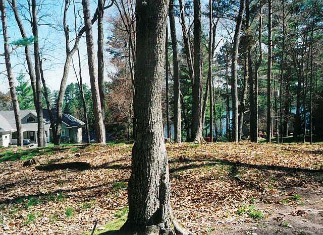 2nd image of 5493 Riverview Dr