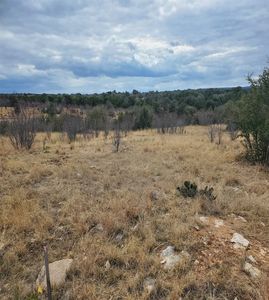 40 Southern Hills Ct, Graford, TX, 76449