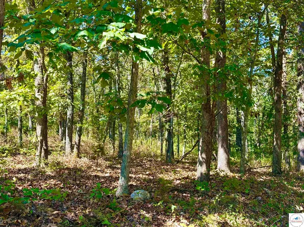 Off Saint Saveur Dr, Edwards, MO 65326