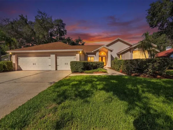 15923 ELLSWORTH DRIVE, TAMPA, FL 33647