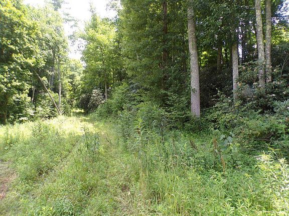 5th image of Robinson Hollow Ln