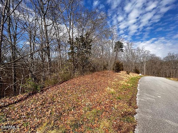 3rd image of 51 Fork Horn Lot 51