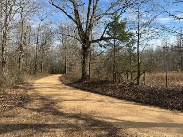 0 McNairy Dr, Savannah, TN 38372