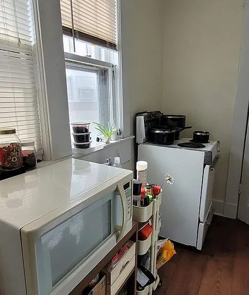 1338 Washtenaw Ave — Photo 27