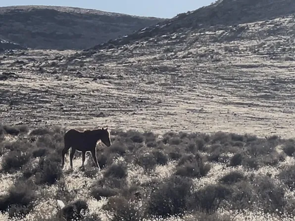 9325 Western Way, Stagecoach, NV 89429