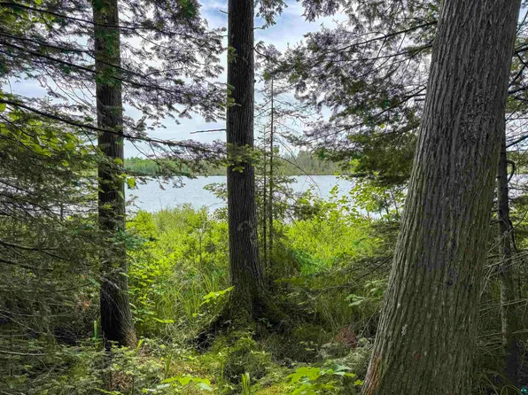 9326 Maple Ridge Rd Lot 5, Finland, MN 55603