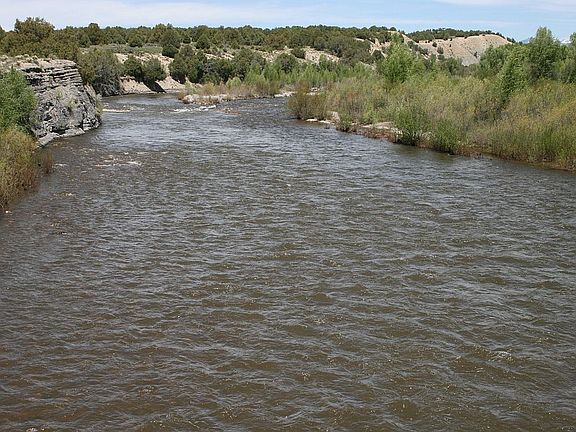 River from Bridge Looking N