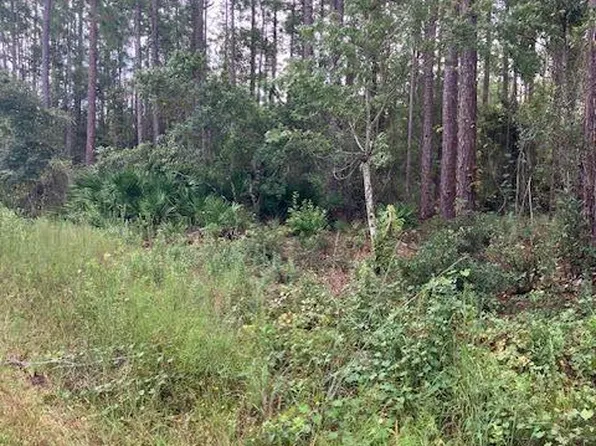 4515 MAHOGANY Boulevard, Bunnell, FL 32110