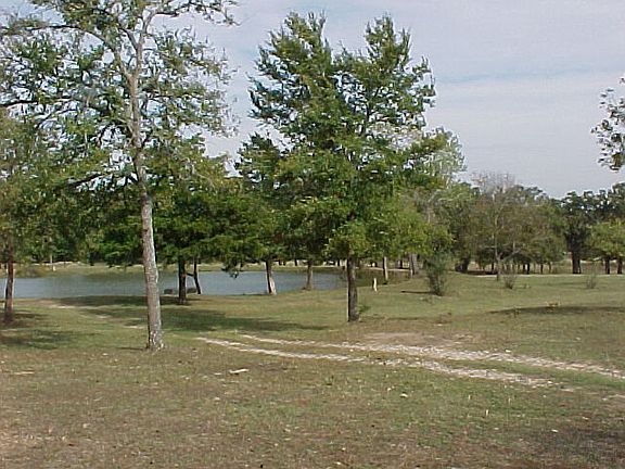 2nd image of 22020 County Road 1560