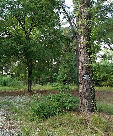 5th image of 15367 County Road 3425