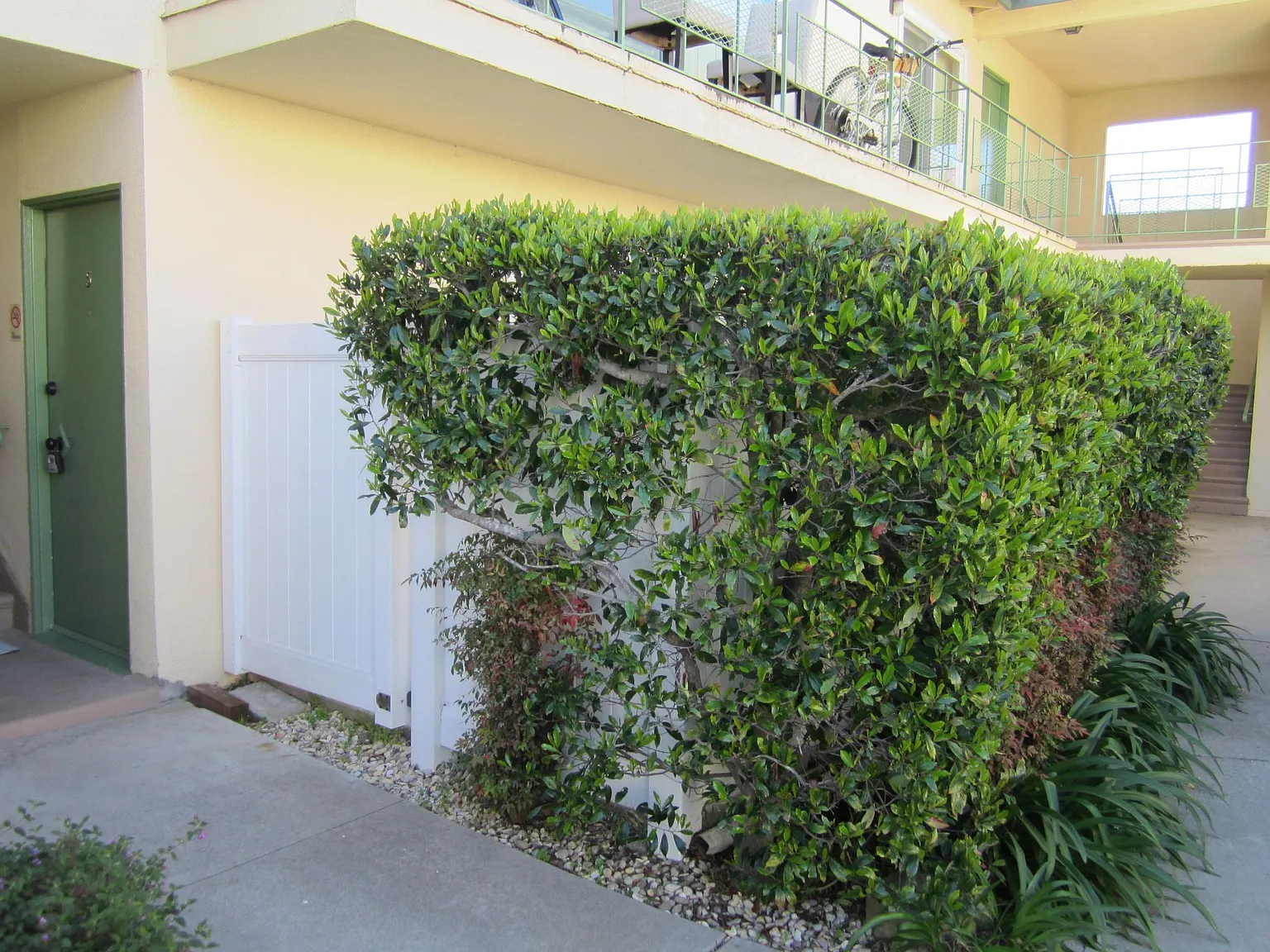 2 bed, $3,800 — Photo 2