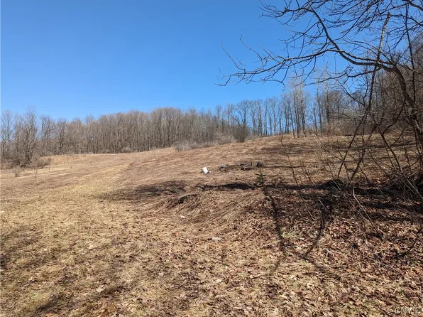 LOT 2 Domser Rd Lot 2, Boonville, NY 13309