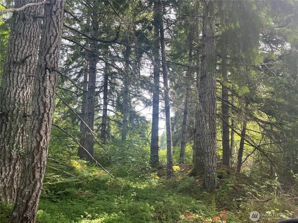 2230 W Beverly Boulevard, Shelton, WA 98584