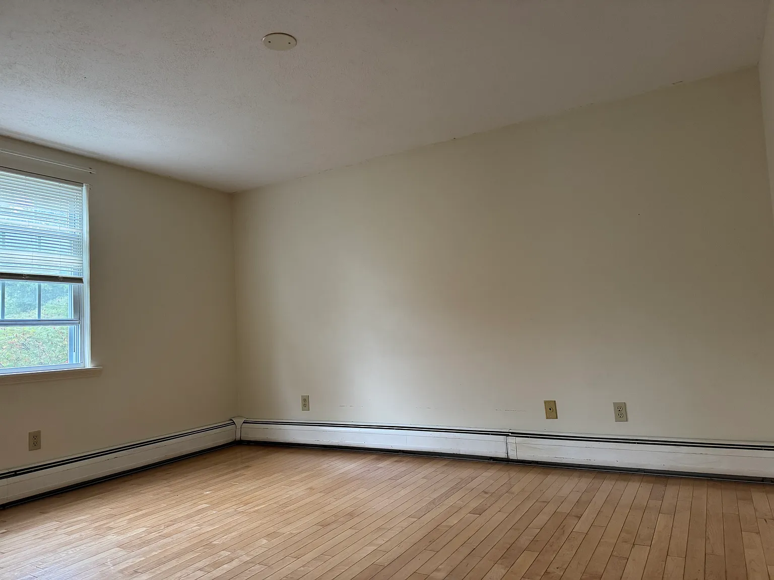2 bed, 815 sqft, $1,800 — Photo 4