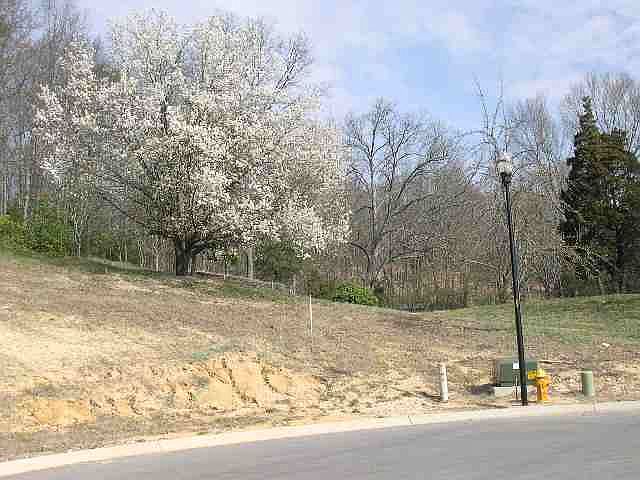 1st image of 834 Deer Run Ln NW