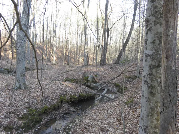 0 Price House Rd Lot 2, Woodruff, SC 29388